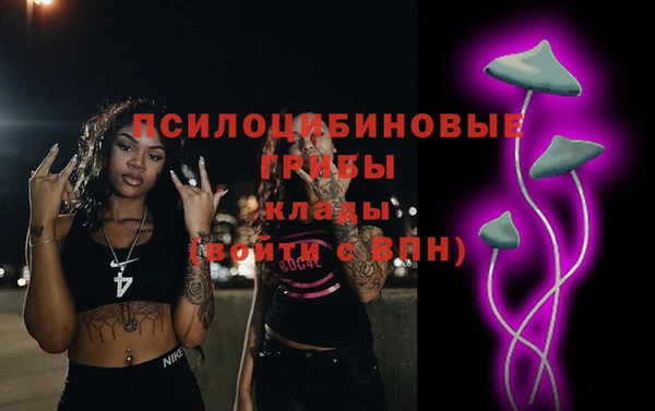 прущая мука Осташков