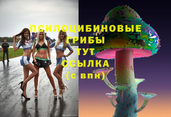 герыч Пересвет