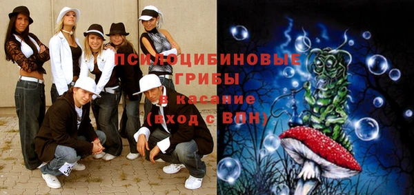 мяу мяу мука Осинники