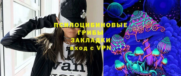 герыч Пересвет