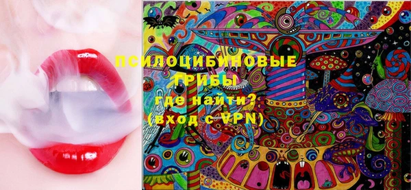 герыч Пересвет