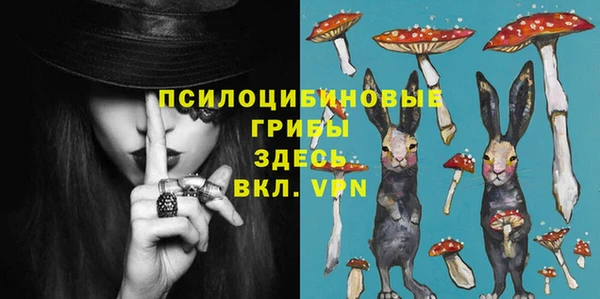 МДПВ Гатчина