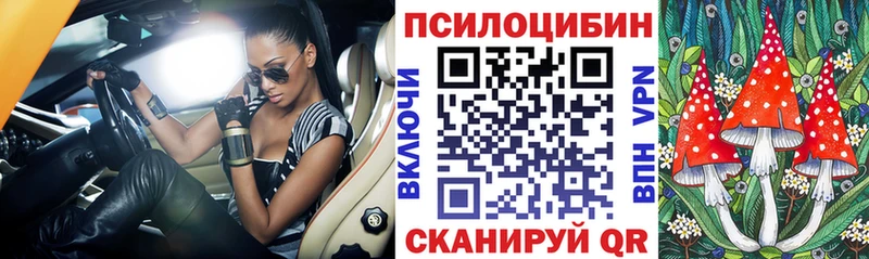 Галлюциногенные грибы Magic Shrooms  блэк спрут зеркало  Пучеж 